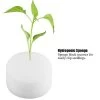 Jeffergrill 50pcs Soilless Hydroponic Cylindric Sponge Planting Gardening Tool Seedling Sponges For Greenhouse