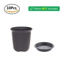 T4U 4.75 Inch Plastic Round Succulent Plant Pots With Saucers, Nursery Flower Pots With Pallet Dark Grey – Set Of 10 -Garden Supply Store 318sZbL5YQL