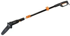 WEN 4019 6-Amp 8-Inch Electric Telescoping Pole Saw With 12-Foot Reach -Garden Supply Store 319qwZW6G3L