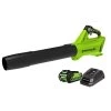 Greenworks 40V 125 Mph – 450 Cfm Cordless Jet Blower, 2.0 Ah Battery And Charger Included BLF346