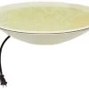 Allied Precision API 600 20-Inch Diameter Heated Bird Bath Bowl (No Stand)