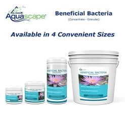Aquascape 98948 Dry Beneficial Bacteria For Pond And Water Features, 8.8-Ounce -Garden Supply Store 41 ulY3j TL