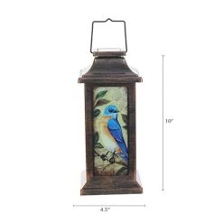 TZSSP Decorative Lantern Hanging Solar Lantern Waterproof Portable Lamp Outdoor Garden Decorative LED Light, Blue Bird… 13 TZSSP Decorative Lantern Hanging Solar Lantern Waterproof Portable Lamp Outdoor Garden Decorative LED Light, Blue Bird… -Garden Supply Store 414ghNJ0cvL