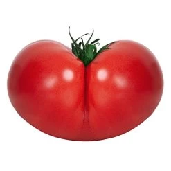 Big A Tomato Fertilizer – 13.5oz Premium Organic Fertilizer With Kelp – Plant Fertilizer For Tomatos Indoor And Outdoor Plants – Nutrient-Rich Organic Fertilizer For Vegetables, Fruits, Plants -Garden Supply Store 415ocVx9wEL