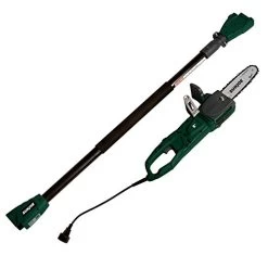Sun Joe SWJ806E-HTG Electric Convertible 2-in-1 8″ Pole Chain Saw