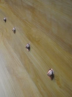 FVTLED Pack Of 6 Warm White LED Deck Lights Kit Φ1.38 Outdoor Garden Yard Decoration Lamp Recessed Pathway Step Warm… -Garden Supply Store 416Z6zFN31L