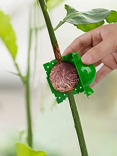 12PCS Plant Root Growing Box Kalolary Reusable Plant Rooting Device Air Layering Pods High-Pressure Propagation Ball Grafting Botany Root Ball For Plants Reproduction For Indoor Outdoor Plant (Small) 5 12PCS Plant Root Growing Box Kalolary Reusable Plant Rooting Device Air Layering Pods High-Pressure Propagation Ball Grafting Botany Root Ball For Plants Reproduction For Indoor Outdoor Plant (Small) - Image 5
