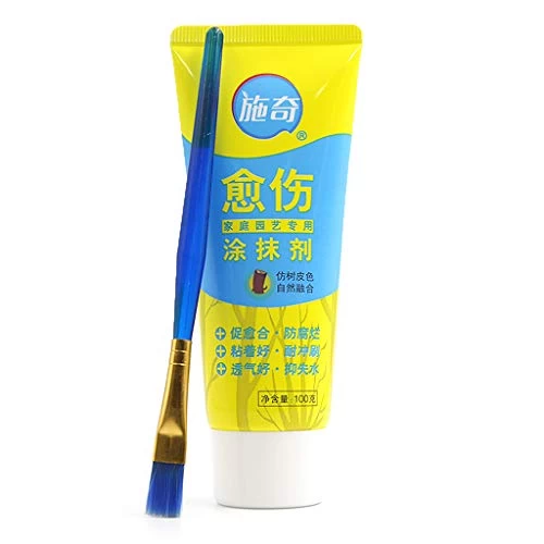Junlinto,100g Tree Wound Bonsai Cut Paste Smear Agent Pruning Compound Sealer With Brush 1 Junlinto,100g Tree Wound Bonsai Cut Paste Smear Agent Pruning Compound Sealer With Brush