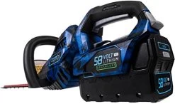 Zombi Power Tools ZCS12017 13-Amp Corded Electric Chainsaw With Oregon Bar & Chain, Black/Blue, 16″, 120-Volt -Garden Supply Store 41B1FzfJhUL