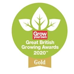 Spear & Jackson 4057NB Elements Daisy Grubber, 28.5 X 3.5 X 4 Cm, Blue -Garden Supply Store 41CnG1sYlWL 1