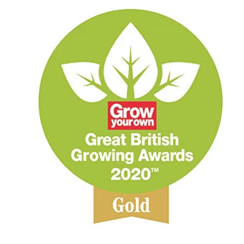 Spear & Jackson Traditional Long Handled Weed Fork 6 Spear & Jackson Traditional Long Handled Weed Fork - Image 6