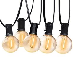 25FT LED Outdoor String Lights Commercial Grade Waterproof Edison Bulbs Plastic Bulb Patio Light For Porch Backyard…