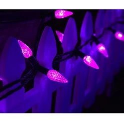 Twinkle Star C6 Halloween String Lights, 100 LED 33ft Fairy Lights With 29V Safe Adapter, Indoor Outdoor Black Wire… -Garden Supply Store 41Fd2BNMQ1NL