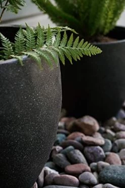 Canary Products PL1515BK Xbrand Modern Nested Black Round Flower Pot Planter, 14 Inch & 12 Inch Tall 9 Canary Products PL1515BK Xbrand Modern Nested Black Round Flower Pot Planter, 14 Inch & 12 Inch Tall -Garden Supply Store 41G6RG0lmJL