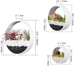 3 Of Set Metal Wall Planters,Clear Glass Hanging Vase Plant Holder Round Iron Artificial Pots Industry Design Flowers… -Garden Supply Store 41HhX6ShZJL