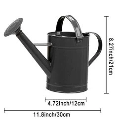 Asvert Metal Watering Can Modern Anti-Rust Watering Pot With Long Spout For Indoor Outdoor House Plants Watering Use 0… 9 Asvert Metal Watering Can Modern Anti-Rust Watering Pot With Long Spout For Indoor Outdoor House Plants Watering Use 0… -Garden Supply Store 41OiTV4vyTL