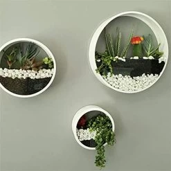 3 Of Set Metal Wall Planters,Clear Glass Hanging Vase Plant Holder Round Iron Artificial Pots Industry Design Flowers… -Garden Supply Store 41PIII2r6GL