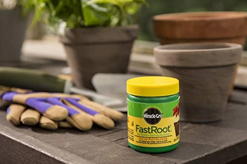 Miracle-Gro FastRoot Dry Powder Rooting Hormone Jar, 1-1/4-Ounce 2 Miracle-Gro FastRoot Dry Powder Rooting Hormone Jar, 1-1/4-Ounce - Image 2