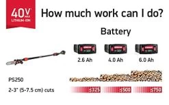 Oregon Cordless 40 Volt Max PS250 Pole Saw Tool Only (Without Battery & Charger) -Garden Supply Store 41R6dG2BBagL