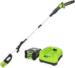 Greenworks PRO 9′ 80V Cordless Pole Saw, 2.0 AH Battery Included PS80L21