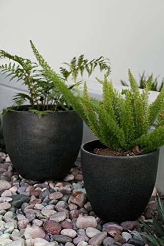 Canary Products PL1515BK Xbrand Modern Nested Black Round Flower Pot Planter, 14 Inch & 12 Inch Tall 6 Canary Products PL1515BK Xbrand Modern Nested Black Round Flower Pot Planter, 14 Inch & 12 Inch Tall - Image 6