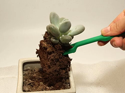 Ginsco 7pcs Succulent Transplanting Miniature Fairy Garden Planting Gardening Hand Tools Set 2 Ginsco 7pcs Succulent Transplanting Miniature Fairy Garden Planting Gardening Hand Tools Set - Image 2