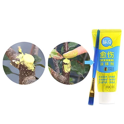 Junlinto,100g Tree Wound Bonsai Cut Paste Smear Agent Pruning Compound Sealer With Brush 2 Junlinto,100g Tree Wound Bonsai Cut Paste Smear Agent Pruning Compound Sealer With Brush - Image 2