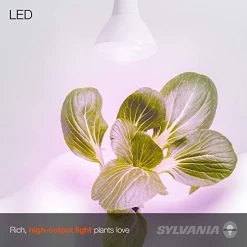 SYLVANIA General Lighting 40071 BR30 Ultra, Frosted Finish, 18 Watts LED Grow Lamp -Garden Supply Store 41dy5heMmML