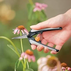 Fiskars 99216935J Softouch Micro-Tip Pruning Snip, Gray, 1 Units -Garden Supply Store 41in7PpoQgL