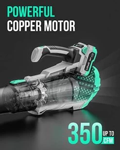 Litheli 20V Cordless Leaf Blower, Battery Leaf Blower For Cleaning Leaves, Dust, Snow On Lawn, Yard, Deck, With 4.0Ah… -Garden Supply Store 41kFRsymioL