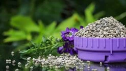 Miracle-Gro Shake N Feed Ultra Bloom Plant Food – 2.04kg 8 Miracle-Gro Shake N Feed Ultra Bloom Plant Food – 2.04kg -Garden Supply Store 41oRKAHfi4L