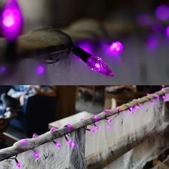 Twinkle Star C6 Halloween String Lights, 100 LED 33ft Fairy Lights With 29V Safe Adapter, Indoor Outdoor Black Wire… -Garden Supply Store 41orlpNjnYL