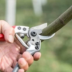 Sanung Pruning Shears Gardening Tools Garden Shears With Sharp High Carbon Steel Teflon Coated Blade And Non-Slip… -Garden Supply Store 41ykAK2lq1L