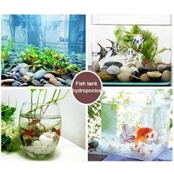 Garden Stones Pebbles Natural Polished River Rock Great For Outdoor Or Indoor Decor Vase Fillers Fish Tank Landscaping… -Garden Supply Store 51 Dc2BHuh L