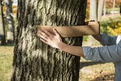 Tanglefoot Tree Care Kit – Tree Insect Barrier & Tangle-Guard Wrap Combo -Garden Supply Store 51 aIWjqutL