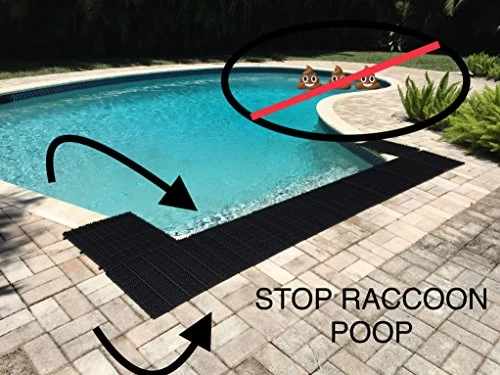 Critter Pricker Raccoon Deterrent Proven Humane Dog Cat Garden Wall Defender And Pest Control 10 Connectable Spikes On… 6 Critter Pricker Raccoon Deterrent Proven Humane Dog Cat Garden Wall Defender And Pest Control 10 Connectable Spikes On… - Image 6