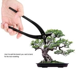 Professional Grade Bonsai Tools Trunk Splitter Manganese Steel Alloy Gardening Bonsai Tools With Ergonomic Handle 12 Professional Grade Bonsai Tools Trunk Splitter Manganese Steel Alloy Gardening Bonsai Tools With Ergonomic Handle -Garden Supply Store 5107pbJZNzL