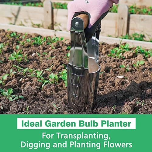 Berry&Bird Garden Bulb Planter With 4 Inches Depth Mark, Stainless Steel Gardening Bulb Transplanter Tool With Short… 2 Berry&Bird Garden Bulb Planter With 4 Inches Depth Mark, Stainless Steel Gardening Bulb Transplanter Tool With Short… - Image 2