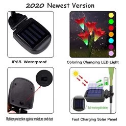 Solar Lights Outdoor – New Upgraded Solar Garden Lights, Multi-Color Auto-Changing 8 Bigger Lily Flower Decorative… 12 Solar Lights Outdoor – New Upgraded Solar Garden Lights, Multi-Color Auto-Changing 8 Bigger Lily Flower Decorative… -Garden Supply Store 512BA2gD4ofL