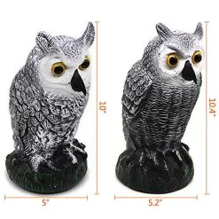 Hausse 2 Pack Fake Horned Owl Decoy, Nature Enemy Pest Repellent For Outdoor Garden Yard -Garden Supply Store 513vhkx3CqL