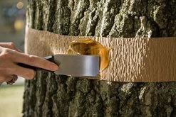 Tanglefoot Tree Care Kit – Tree Insect Barrier & Tangle-Guard Wrap Combo -Garden Supply Store 514rggXVn5L