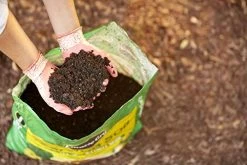 Miracle-Gro Available 70551430 All-Purpose Garden Soil, 1 CF -Garden Supply Store 515ylgUCPrL
