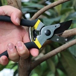 TOOLMOOM Hand Pruner Professional Pruning Shears Heavy Duty Garden Shears, Clippers For The Garden ,Tree Trimmers  -Garden Supply Store 516JreU2BRuL