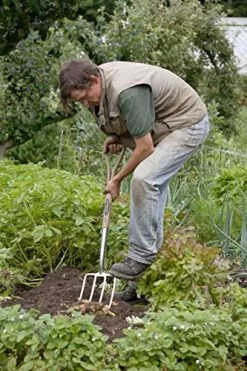 Spear And Jackson R712 Traditional Mirror Finish Stainless Steel Head Digging Fork With 1-Piece Hardwood Shaft -Garden Supply Store 517fWcFmPPL