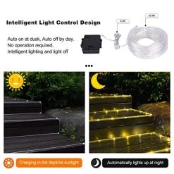 Solar Rope Lights Outdoor,Solar String Lights,Clear Tube LED Rope Light,Contain 2 Pack 65.6Ft 200 LED Light,Waterproof… 10 Solar Rope Lights Outdoor,Solar String Lights,Clear Tube LED Rope Light,Contain 2 Pack 65.6Ft 200 LED Light,Waterproof… -Garden Supply Store 517iriz0wUL