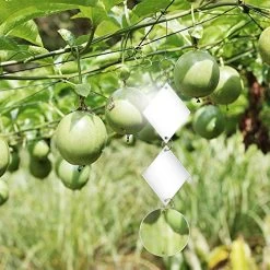 Bird Repellent Reflective Dual Sided Discs- 24pcs Bird Scare Like Mirrors All Birds Away Like Woodpeckers Pigeons And… -Garden Supply Store 517ufkXdjSL