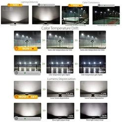 Led Flood Light Outdoor,60W Super Bright 6000LM Work Light With Plug,6000K Daylight White,IP66 Waterproof Outdoor… -Garden Supply Store 519hOH3jIdL