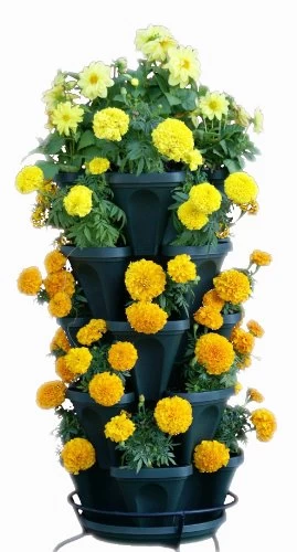 5-Tier Stackable Strawberry, Herb, Flower, & Vegetable Planter – Vertical Gardening Indoor/Outdoor Stacking Garden Pots… 2 5-Tier Stackable Strawberry, Herb, Flower, & Vegetable Planter – Vertical Gardening Indoor/Outdoor Stacking Garden Pots… - Image 2