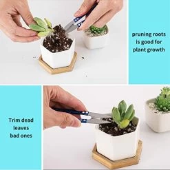 13 Pieces Mini Garden Hand Transplanting Succulent Tools Indoor Garden Plant Care Indoor Tools, Garden Kneelers Work… -Garden Supply Store 51D2B2fkzEoL