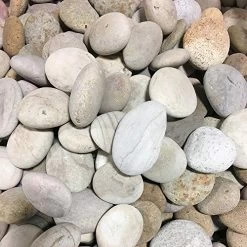 Landscape Garden Pebbles – Beige Stones 1-3″ (Mixed Sizes)